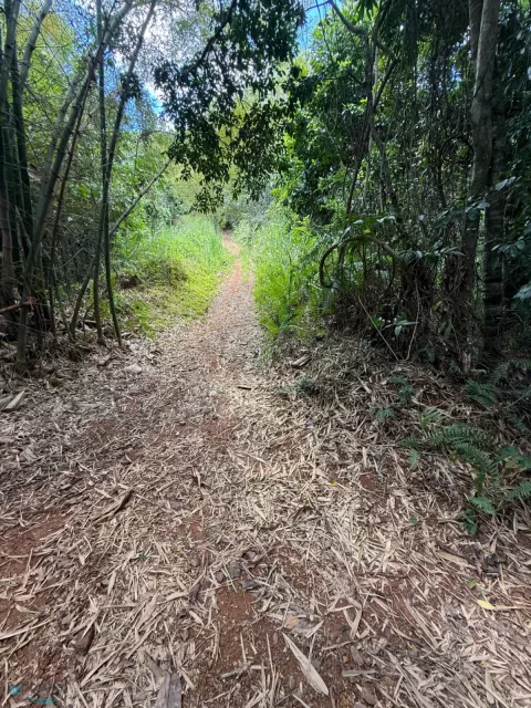 Barrio Rio Canas Arriba venta en Mayaguez, PR