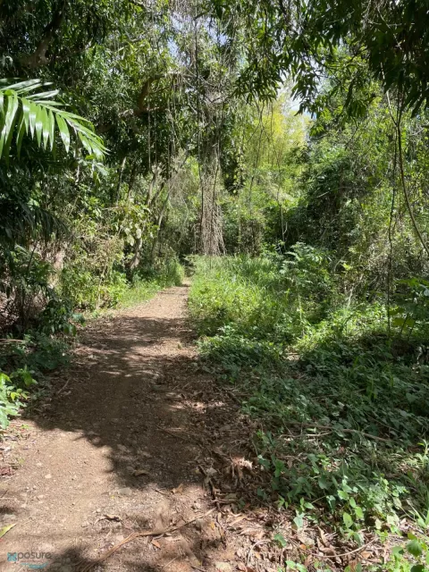 Barrio Rio Canas Arriba venta en Mayaguez, PR