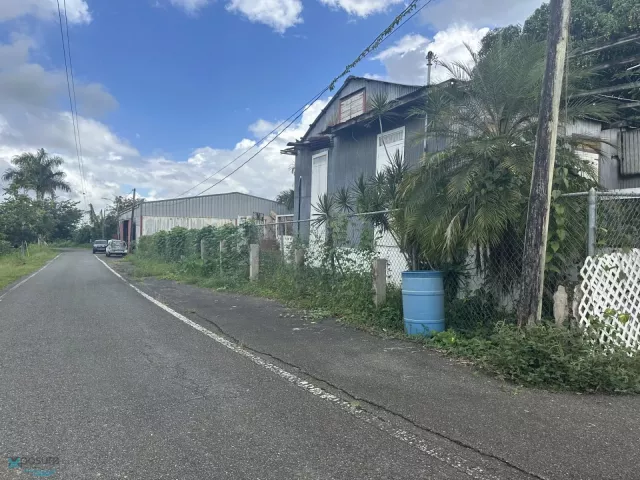 Barrio Buena Vista en Las Marias, PR