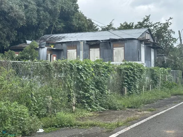 Barrio Buena Vista venta en Las Marias, PR