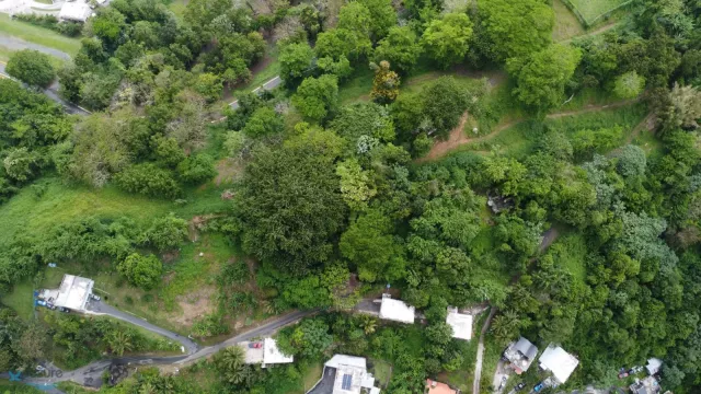 Barrio Mamey venta en Guaynabo, PR