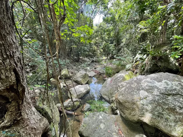 Barrio Lapa venta en Salinas, PR