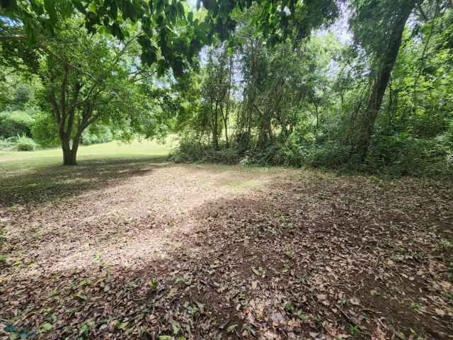 Sector Minillas venta en San German, PR