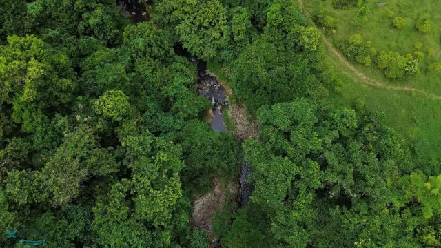 Barrio Guzman Arriba venta en Rio Grande, PR