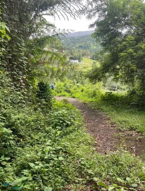Barrio Guzman Arriba venta en Rio Grande, PR