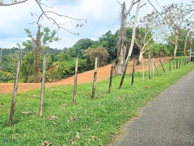 Barrio Ovejas venta en Anasco, PR