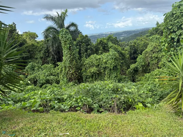 Barrio Camarones venta en Guaynabo, PR