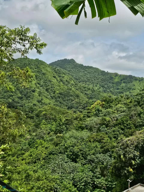 Barrio Aguas Blancas venta en Yauco, PR