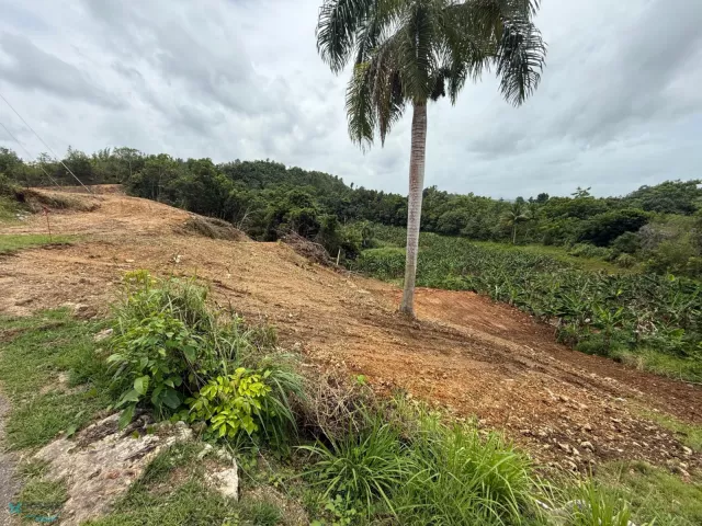 Barrio Planas venta en Isabela, PR