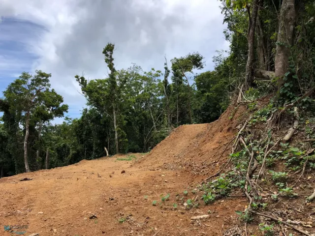 Barrio Carmen en Guayama, PR
