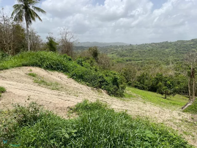 Barrio Ceiba Sur venta en Juncos, PR