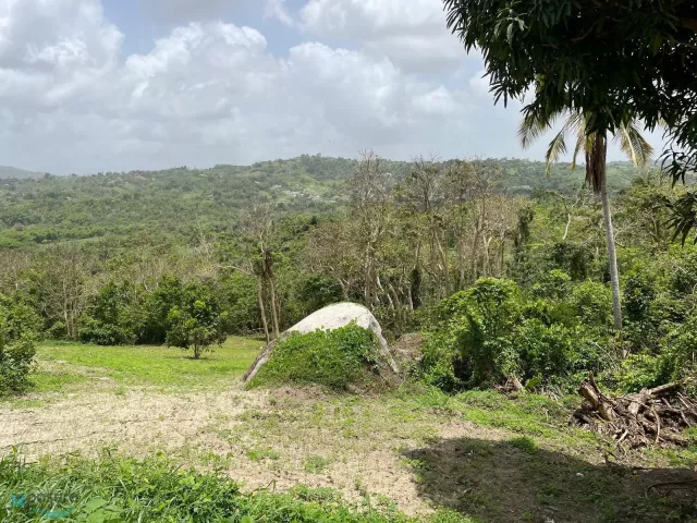Barrio Ceiba Sur venta en Juncos, PR