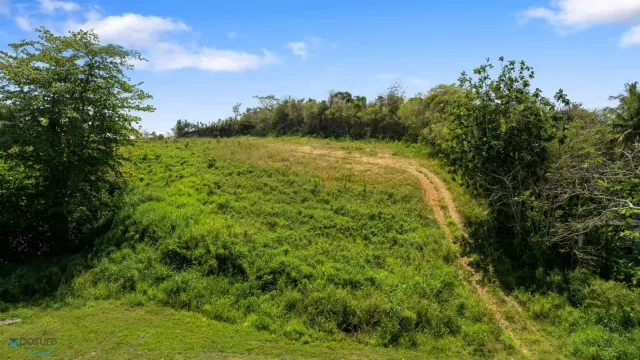 Barrio Pico De Piedra venta en Aguada, PR