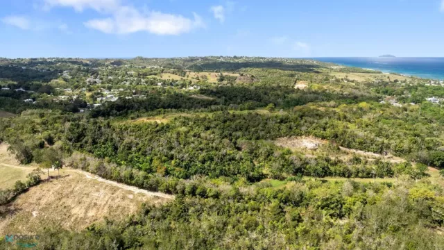 Barrio Guayabo venta en Aguada, PR