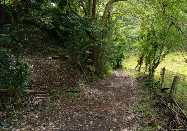Barrio Zanjas venta en Camuy, PR