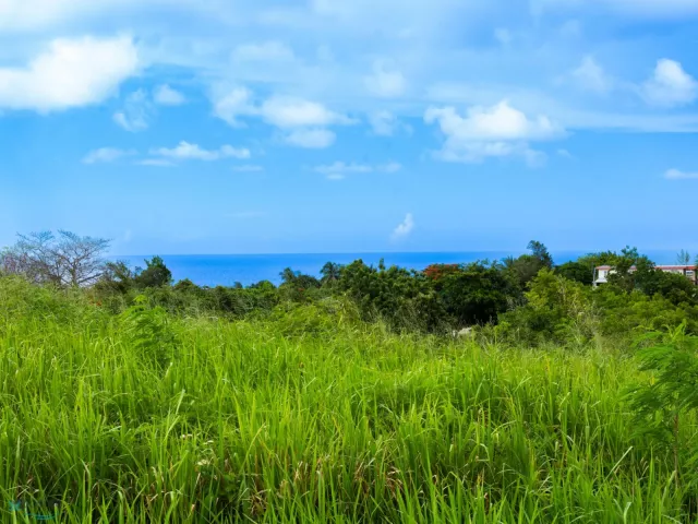 Barrio Puente venta en Camuy, PR