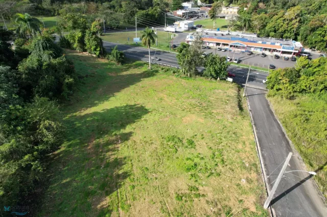 Barrio Hato Viejo venta en Ciales, PR