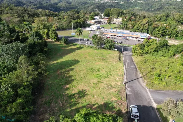 Barrio Hato Viejo venta en Ciales, PR