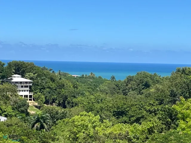 Barrio Puntas venta en Rincon, PR