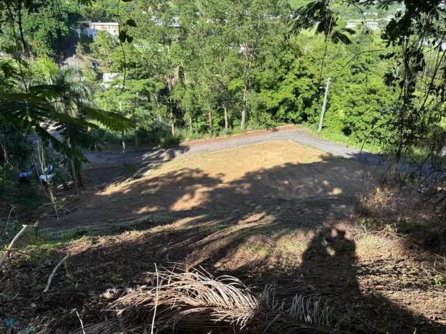 Barrio Quebrada Grande venta en Trujillo Alto, PR