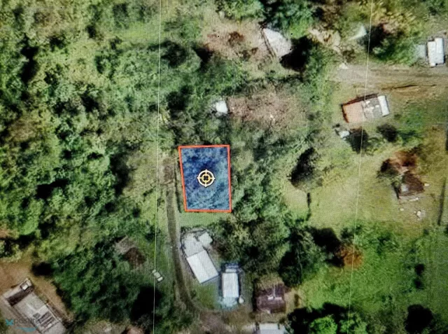 Barrio Cacao Bajo en Patillas, PR