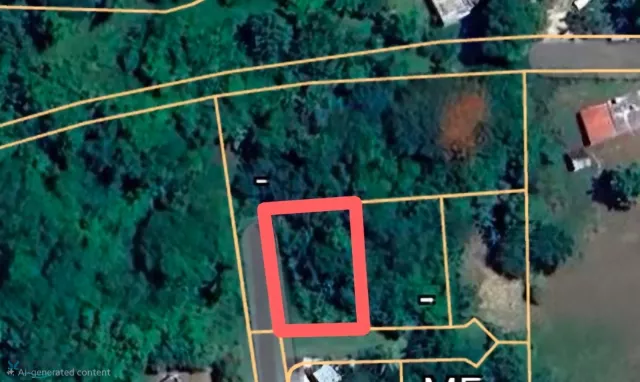Barrio Cacao Bajo venta en Patillas, PR