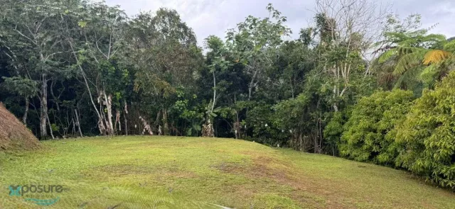 Barrio Barrio Nuevo venta en Bayamon, PR