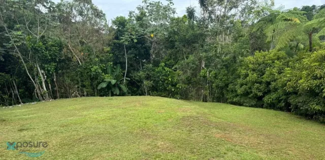 Barrio Barrio Nuevo venta en Bayamon, PR