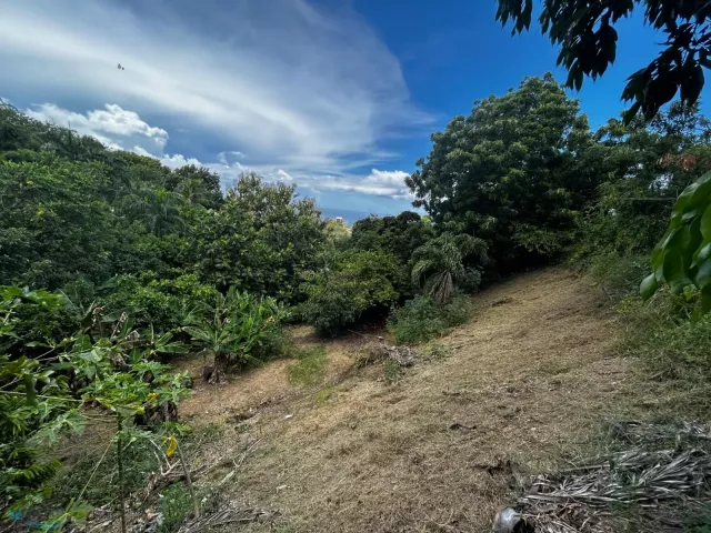 Barrio Ensenada venta en Rincon, PR