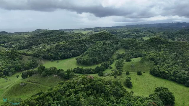 Barrio Rio Arriba Poniente venta en Manati, PR