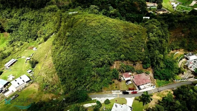 Barrio Rio Arriba Saliente venta en Manati, PR