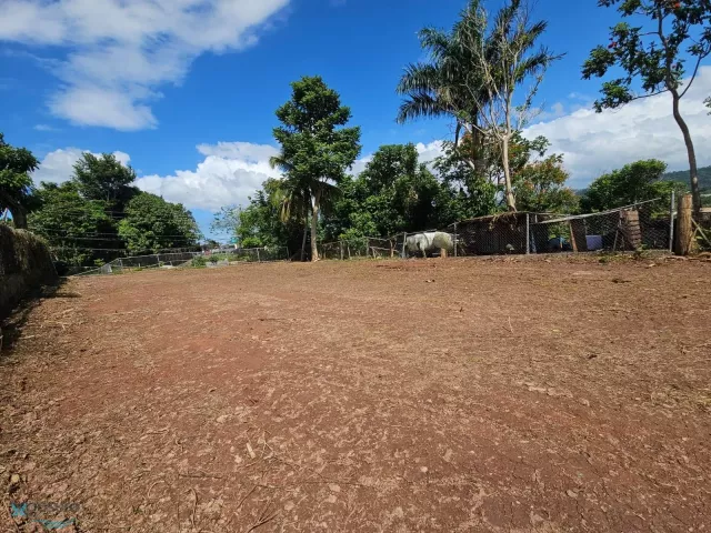 Barrio Pozas venta en San Sebastian, PR