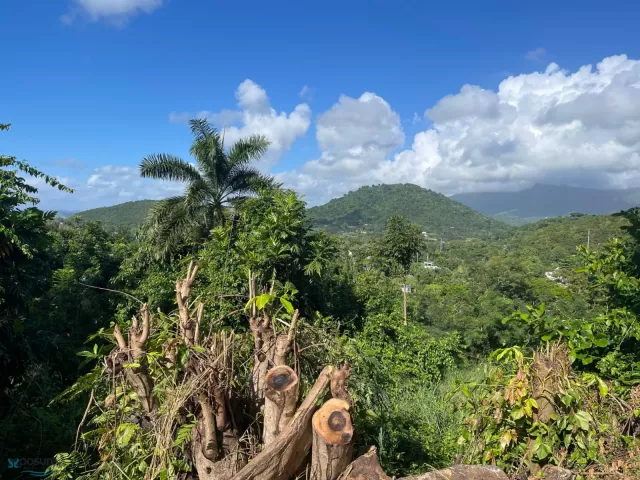 Barrio Daguao venta en Naguabo, PR