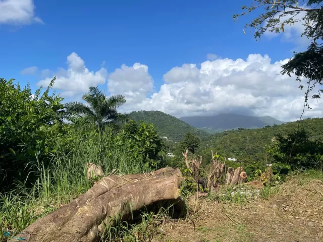 Barrio Daguao venta en Naguabo, PR