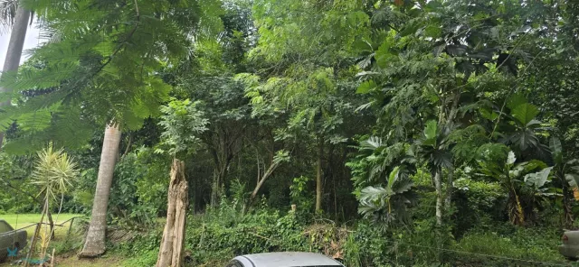 Barrio Quebrada Honda venta en Guayanilla, PR