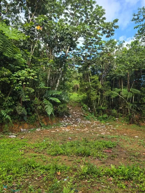 Barrio Santa Isabel venta en Utuado, PR