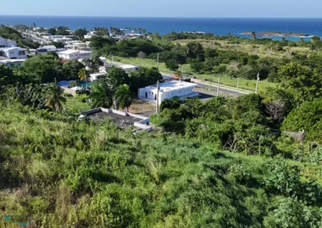 Barrio Puente venta en Camuy, PR