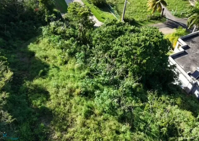 Barrio Puente venta en Camuy, PR
