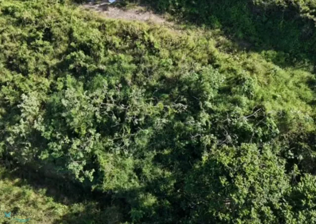 Barrio Puente venta en Camuy, PR