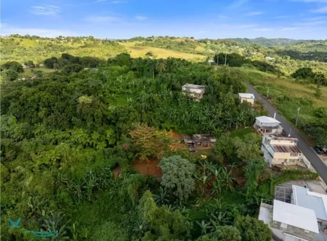 Barrio Leguizamo venta en Mayaguez, PR