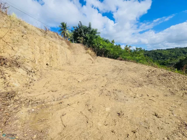 Barrio Cruces venta en Aguada, PR