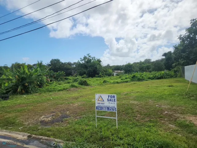 Barrio Buena Vista venta en Humacao, PR