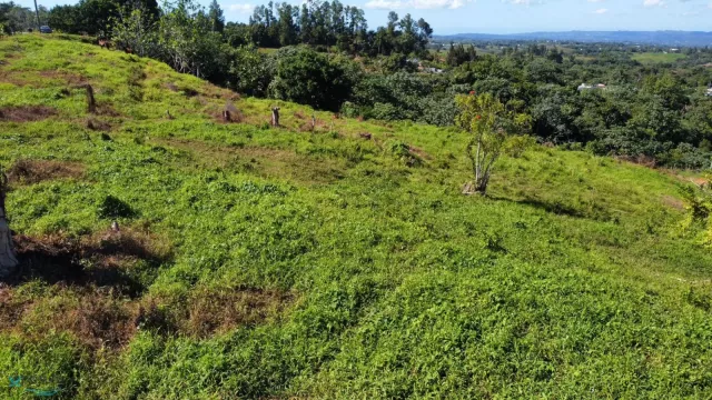Barrio Calabazas venta en San Sebastian, PR