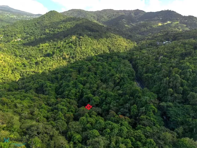 Barrio Cedros venta en Carolina, PR