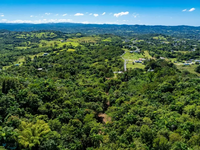 Barrio Saltos venta en San Sebastian, PR
