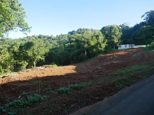Barrio Quemado venta en Mayaguez, PR