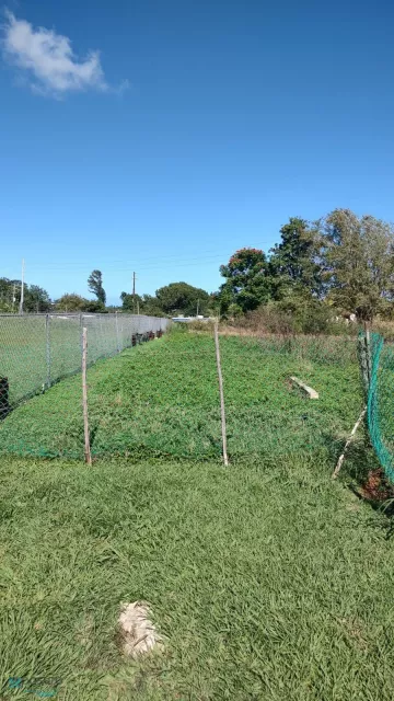 Barrio Arenales Bajos venta en Isabela, PR