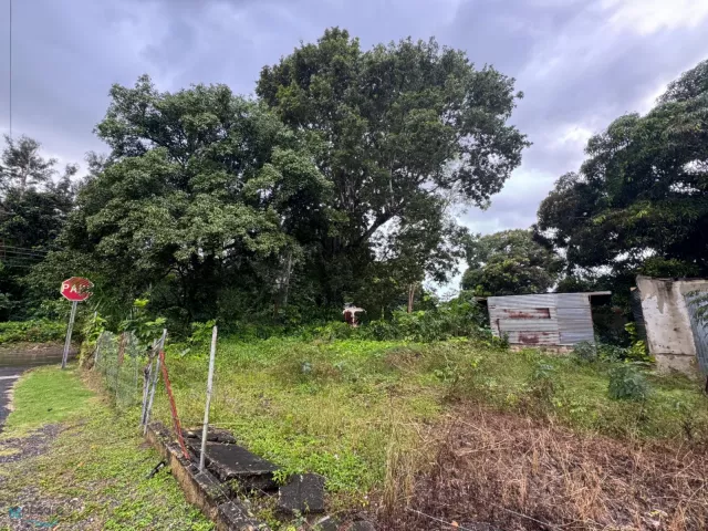 Barrio Sabana Eneas venta en San German, PR