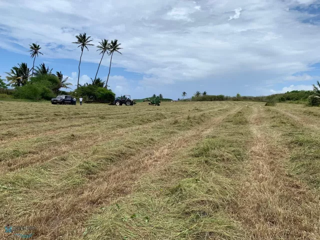 Barrio Carrizales venta en Hatillo, PR