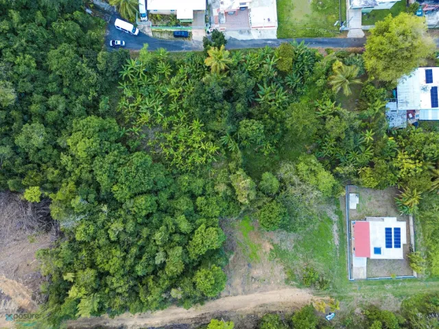 Barrio Factor venta en Arecibo, PR